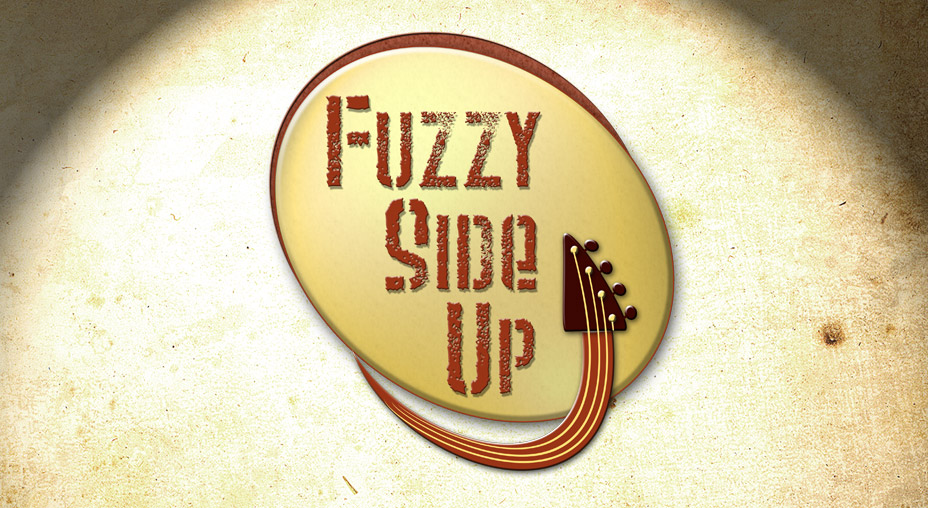 Fuzzy Side Up Logo Design - Brand Identity