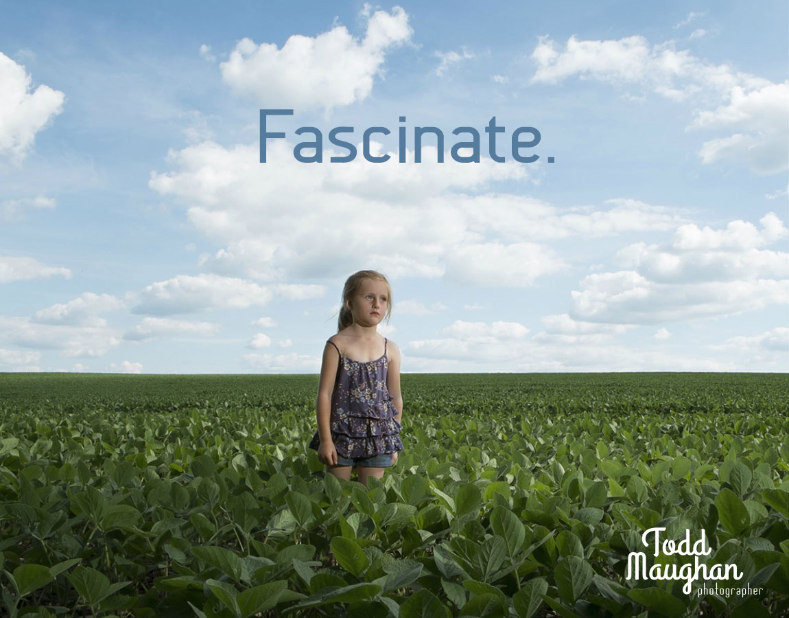 Todd Maughan – Fascinate Advertising